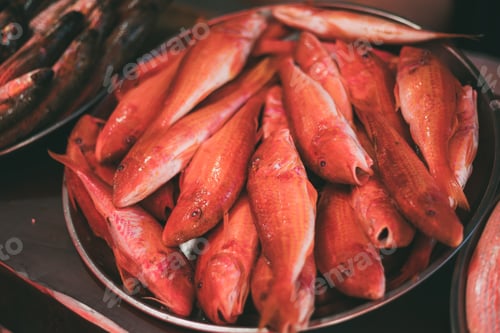 Preview: Fresh Fish On Display On Ice On Fishermen Market Store Shop. Sea