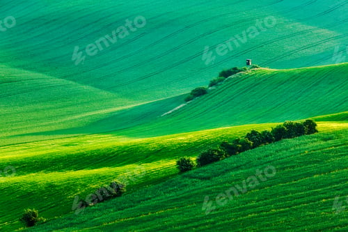 Preview: Moravian rolling landscape with hunting tower shack