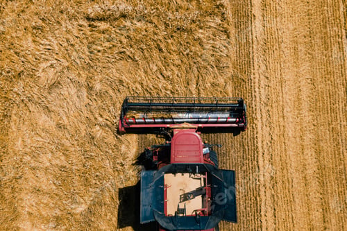 Preview: from above of agricultural combine harvests wheat in field