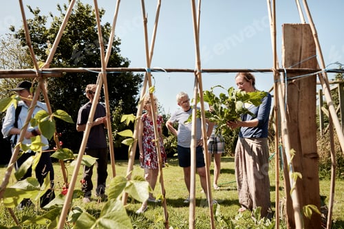 Preview: A woman talking to three people about safe edible plants, seeds and flowers.