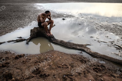 Preview: A man put his hands on his head, on the base of the tree and surrounded by water.