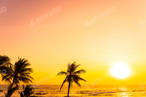 Preview: Beautiful tropical beach sea ocean at sunrise or sunset with palm tree