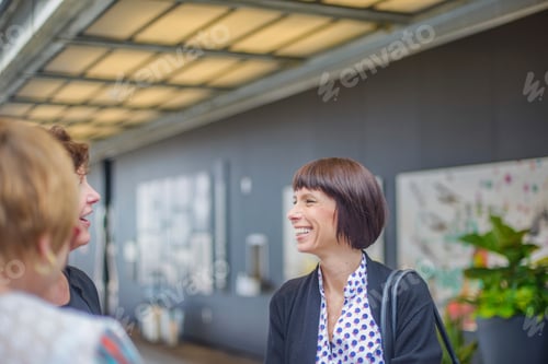 Preview: Woman in office chatting with colleagues smiling