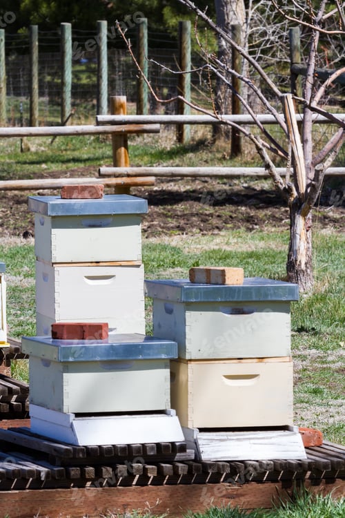 Preview: Beekeeping