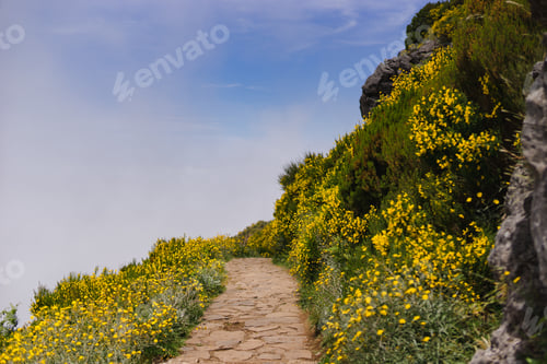 Preview: Travelling and exploring Madeira island landscapes and famous places. Hiking To Pico Ruivo.