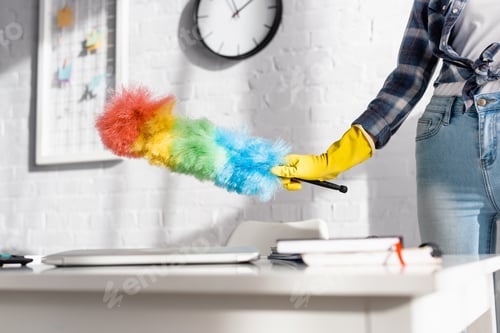 Preview: Cropped view of woman in rubber glove holding dust brush near laptop an notebooks on blurred