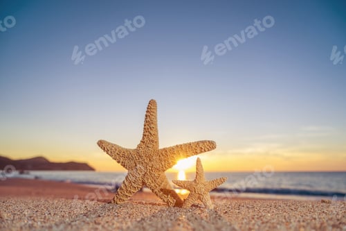 Preview: starfish on the beach at sunrise