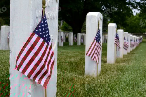 Preview: Flags at Cemetery on Memorial Day