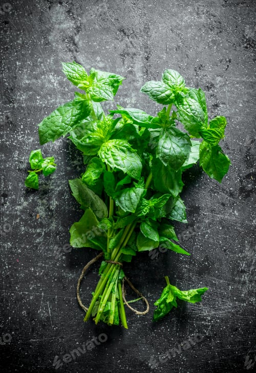 Preview: Bunch of fresh fragrant mint.