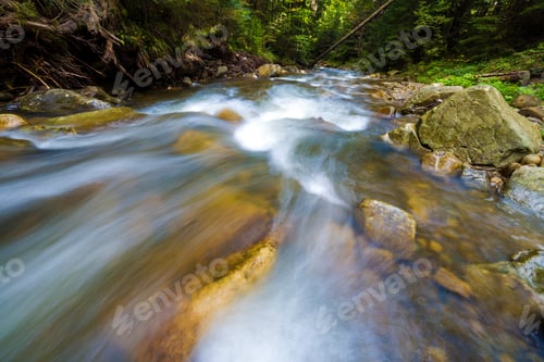 Preview: Fast flowing through wild green forest river with crystal clear smooth silky water
