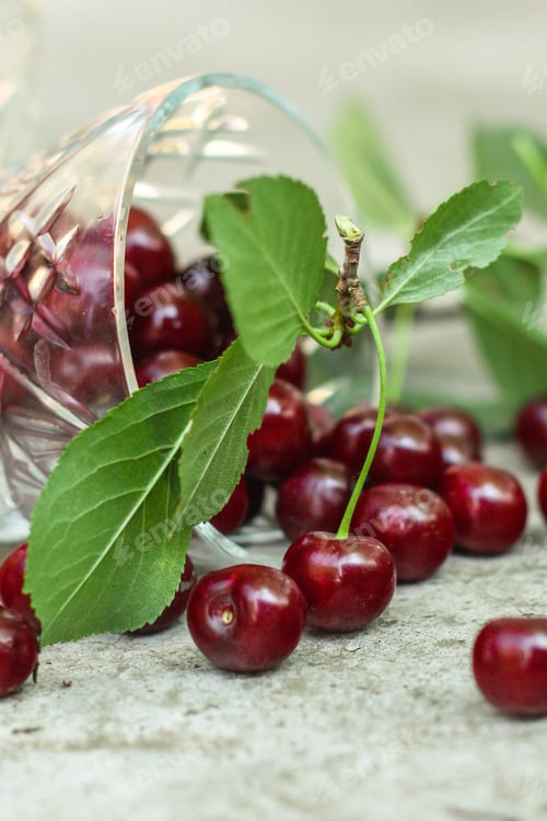 Preview: Cherries Close Up - Ripe Berries (Harvest). Food Background