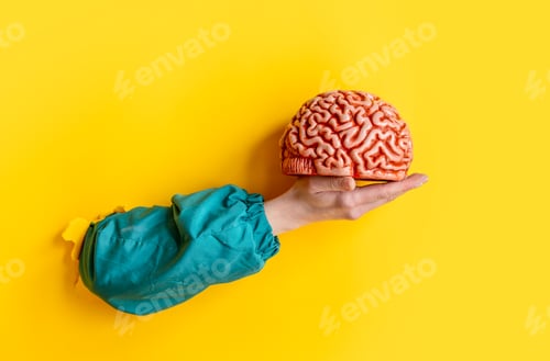 Preview: female hand hold human brain on yellow background.