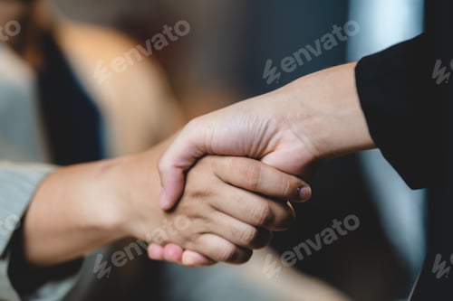 Preview: business hand contract meeting with success agreement concept, professional businessman handshake