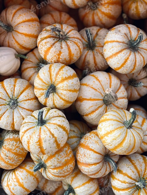 Preview: Pumpkin