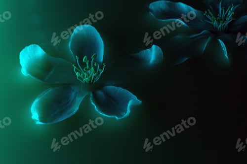 Preview: Close-up of green neon colored cherry tree flower