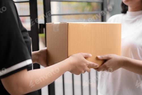 Preview: Postal delivery courier delivering package to customer outdoor.