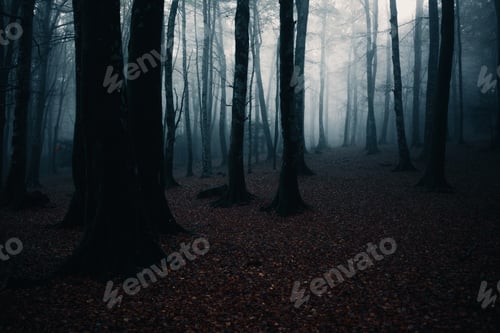 Preview: Horror Place Inside A Woodland During Fall