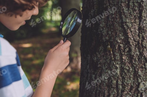 Preview: cropped view of boy looking through magnifier while standing near tree trunk