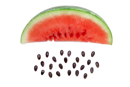 Preview: Watermelon slice with seeds arranged on a white background for a simple display