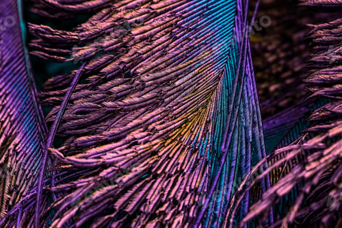 Preview: Abstract background