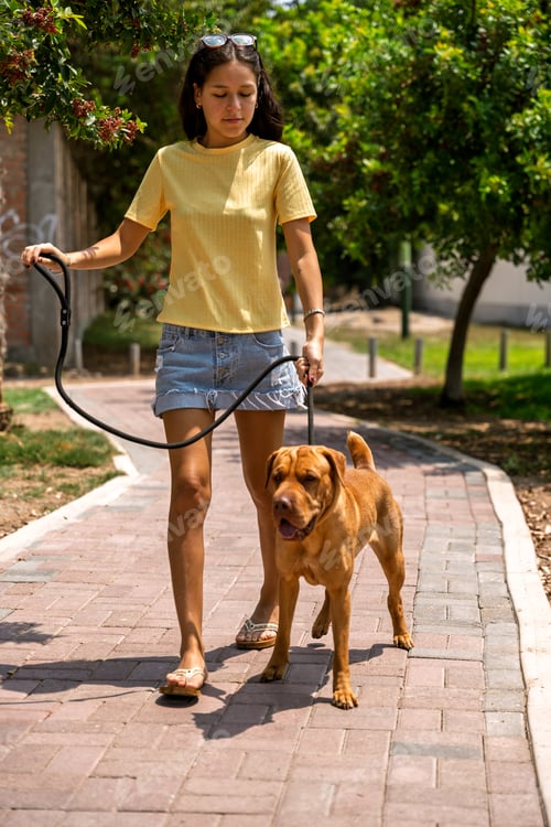 Preview: Young woman walking her dog in a park