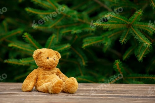 Preview: Little teddy bear toy on wooden table with spruce branches on background