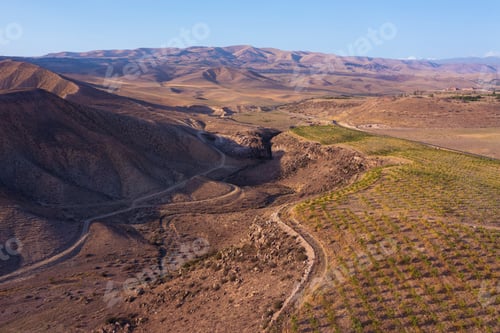 Preview: aerial view olive fields gardens in mountains sunset lights, agriculture background texture