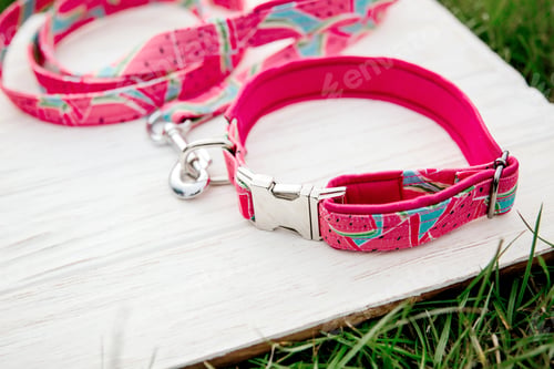 Preview: Dog Collar and Leash set. Pet Supplies and Walking Gear Collection
