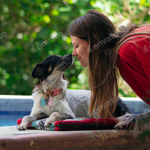 Preview: woman and stray dog touch their noses with jungle background
