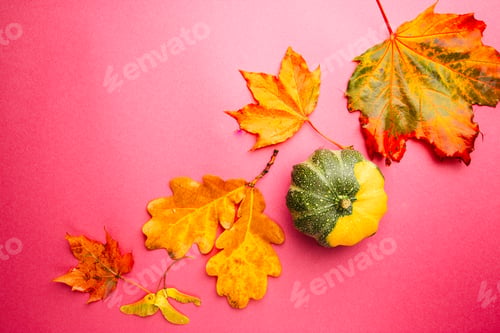 Preview: Autumn background top view