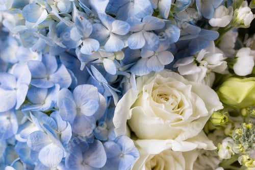 Preview: Flower bouquet in blue color