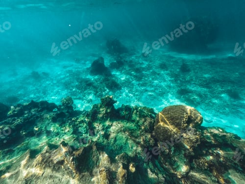 Preview: Underwater at the beach on the island
