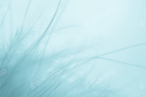 Preview: Blue Feathers Texture For Background