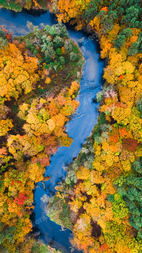 Preview: Aerial view of nature, Poland. River and colorful autumn forest