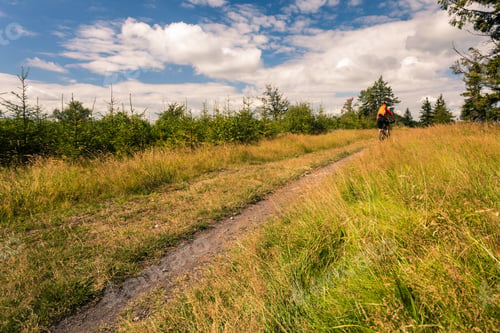 Preview: Mountain biker cycling riding in mountains and woods