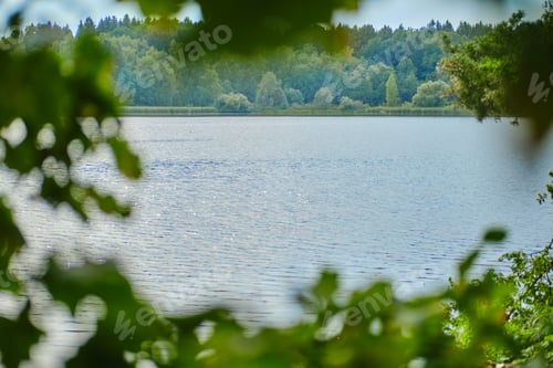 Preview: Abstract background with foliage and lake