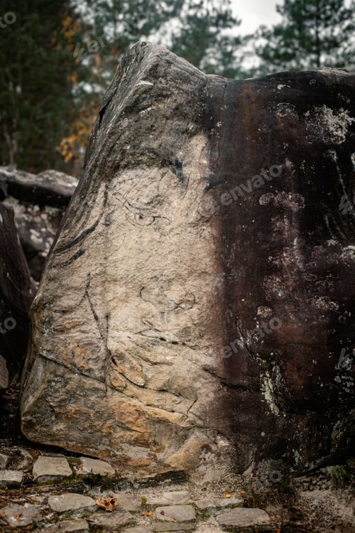 Preview: Large rock situated in a grassy field in the Trois Pignons Forest of Fontainebleau, France