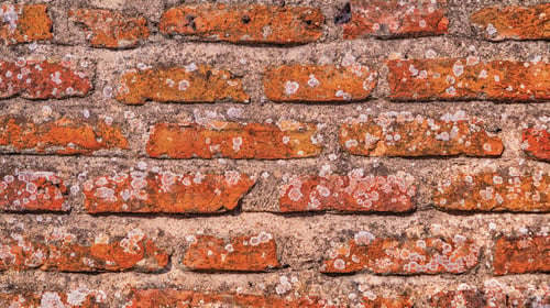Preview: Brick Wall Background