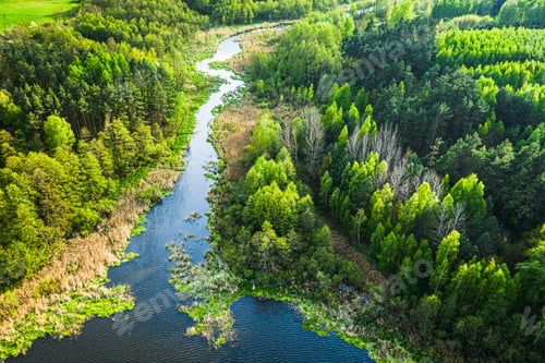 Preview: Blue lake and spring forest in summer, aerial view