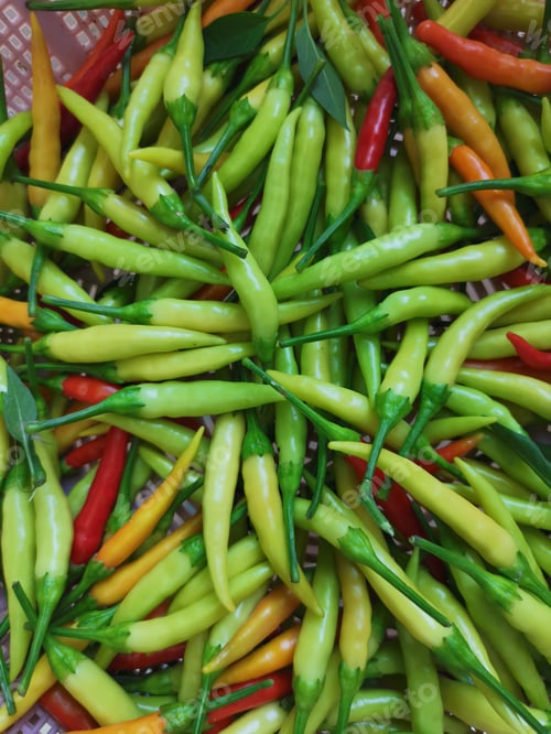 Preview: Mixed green and red chillies