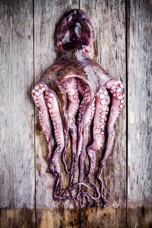 Preview: whole fresh raw octopus on a rustic table