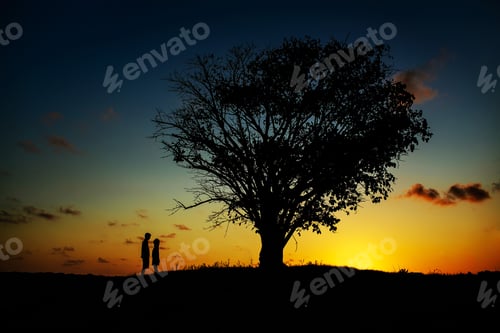 Preview: Landscape shot of a tree in a field with two people standing near it in silhouette during sunset