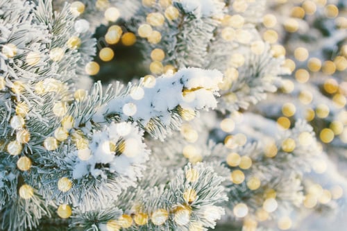 Preview: winter