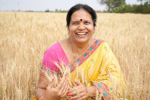 Preview: Beautiful young Indian woman wear in saree at the wheat field
