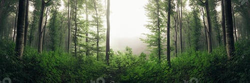 Preview: green woods landscape, forest panorama