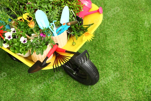 Preview: Wheelbarrow with flowers and gardening tools on grass, above view. Space for text