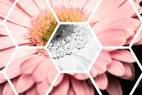 Preview: view through transparent hexagons on pink gerbera