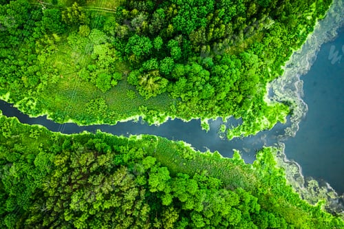 Preview: Beautiful green algae on the lake in spring, aerial view