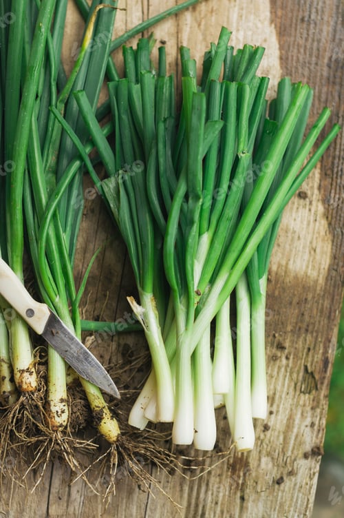 Visualização: Spring onion