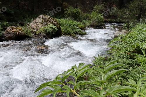 Preview: Cold waters of a mountain stream